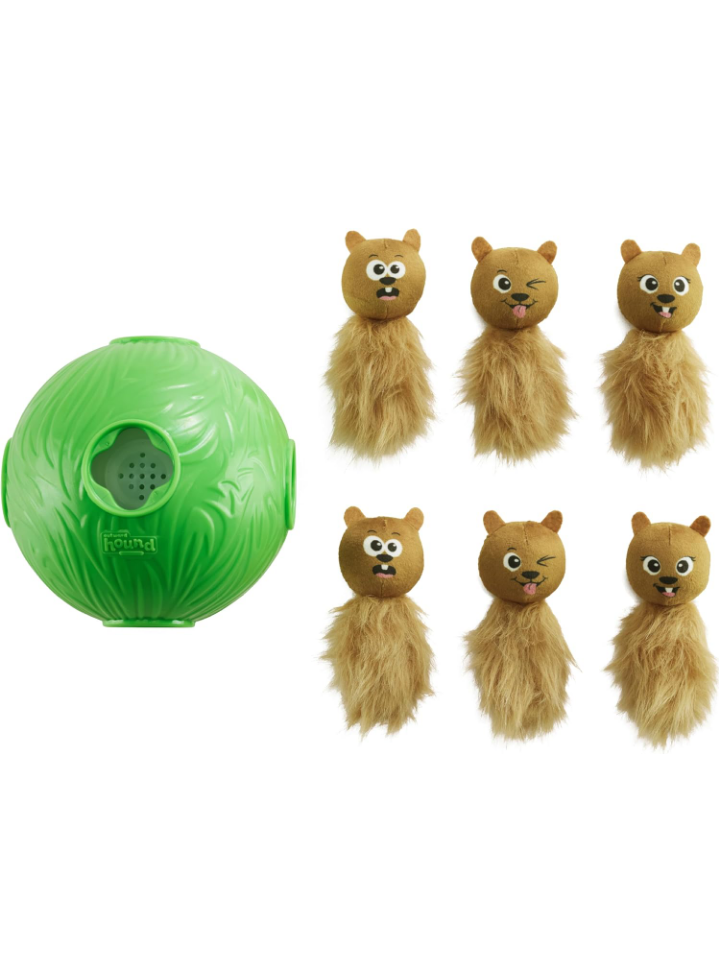 Nina Ottosson Dog Snuffle N' Treat Ball Interactive Treat Ball Dog Puzzle Dog Enrichment Dog Toy, Level 2 Intermediate, Green, Large